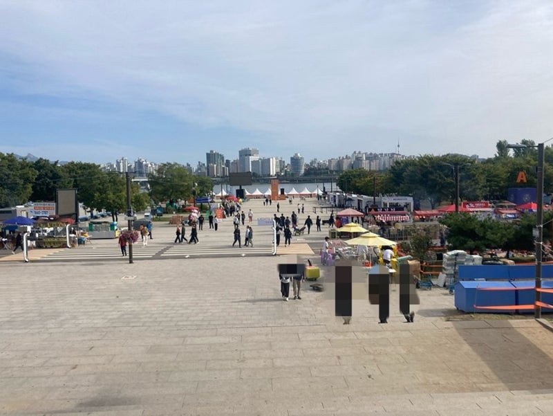 2025 서울 여의도 세계 불꽃축제 한강공원 명당 꿀팁 준비물 이미지 6