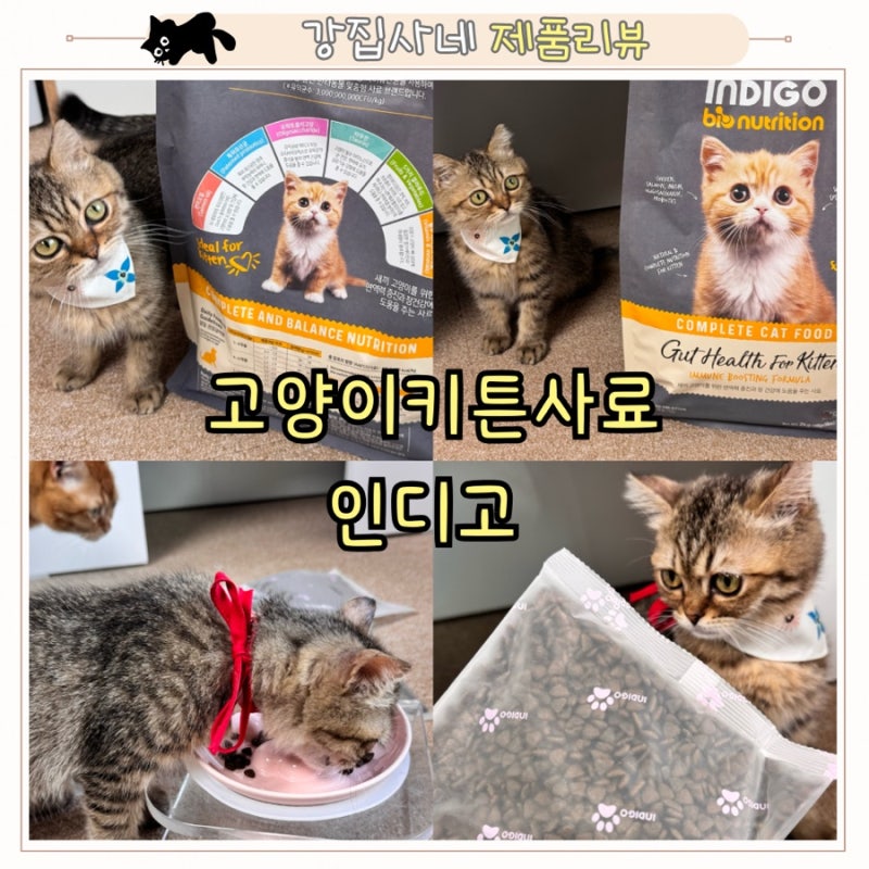 인디고 입맛까다로운 아깽이도 좋아하던 키튼사료! 이미지 2