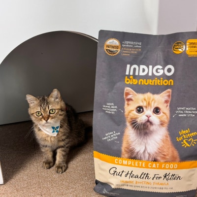인디고 입맛까다로운 아깽이도 좋아하던 키튼사료! 이미지 6