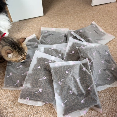 인디고 입맛까다로운 아깽이도 좋아하던 키튼사료! 이미지 9