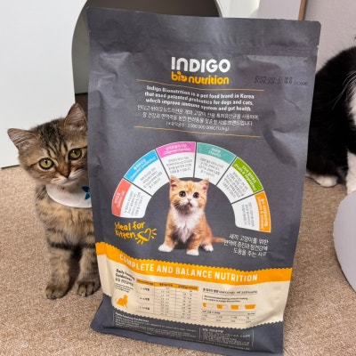 인디고 입맛까다로운 아깽이도 좋아하던 키튼사료! 이미지 8