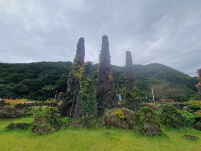 고창 선운사꽃무릇축제 / 절정(만개)시기 & 상사화 차이점 / 가볼만한곳 이미지 3