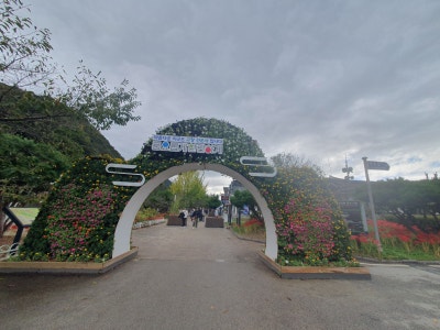 고창 선운사꽃무릇축제 / 절정(만개)시기 & 상사화 차이점 / 가볼만한곳 이미지 4